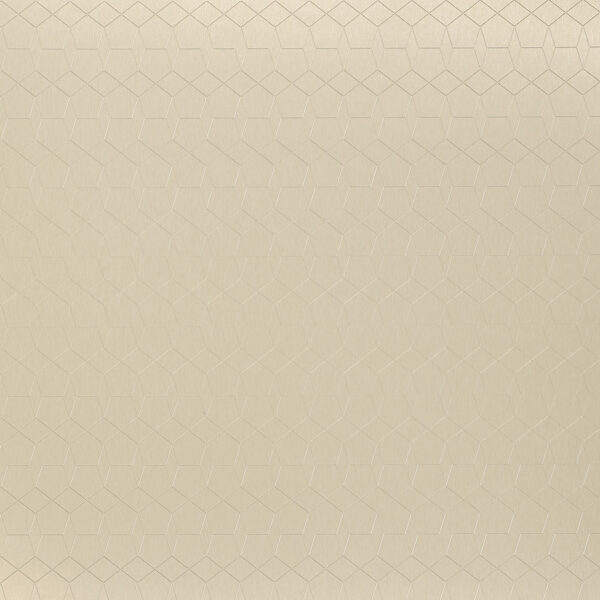Όλες οι Φορμάικες H.P.L. Homapal 325 360 ΦΟΡΜΑΙΚΑ HPL HOMAPAL METALS PERSPECTIVES Alu Brushed Champagnertone Fullsheet