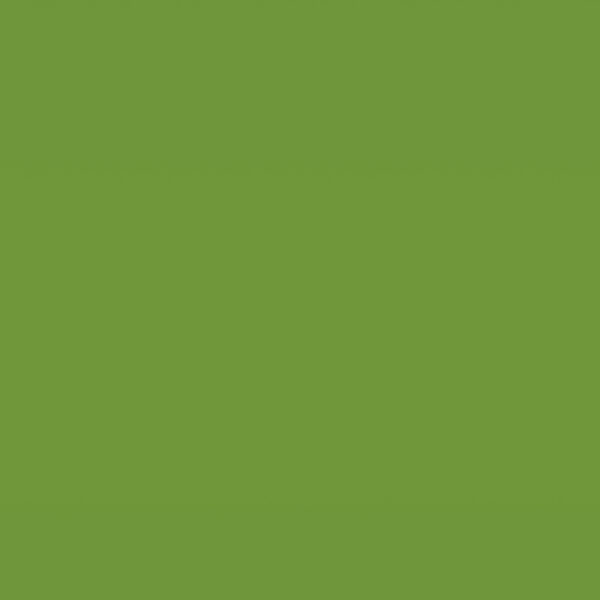 Όλες οι Φορμάικες H.P.L. Homapal 8232 ΦΟΡΜΑΙΚΑ HPL HOMAPAL MAGNETIC BOARDS Apple Green Glossy Board Marker Fullsheet