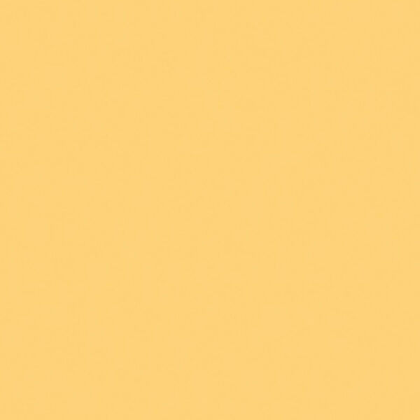 Όλες οι Φορμάικες Compact HPL Formica F1803 COMPACT HPL FURNITURE FORMICA MAT