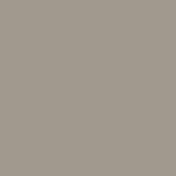 Όλες οι Φορμάικες Compact HPL Formica F2770 COMPACT HPL FURNITURE FORMICA MAT