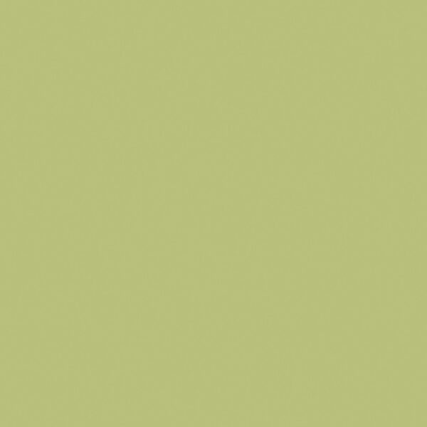 Όλες οι Φορμάικες Compact HPL Formica F3007 COMPACT HPL FURNITURE FORMICA MAT