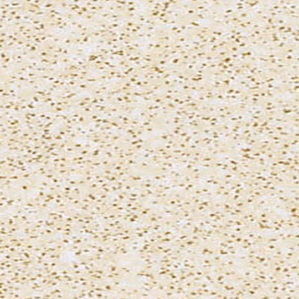 Όλες οι Φορμάικες Compact HPL Formica F7517 COMPACT HPL FURNITURE FORMICA MATTE58 FullSheet