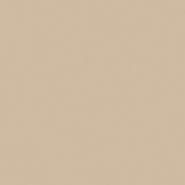 Όλες οι Φορμάικες Compact HPL Formica F8751 COMPACT HPL FURNITURE FORMICA MAT