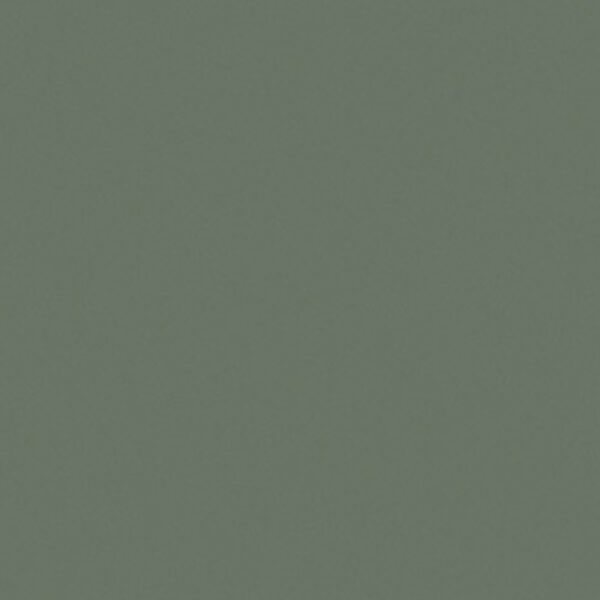 Όλες οι Φορμάικες Compact HPL Formica F8793 COMPACT HPL FURNITURE FORMICA MAT