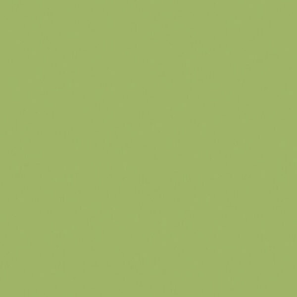 Όλες οι Φορμάικες Compact HPL Formica F8820 COMPACT HPL FURNITURE FORMICA MAT