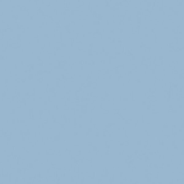 Όλες οι Φορμάικες Compact HPL Formica F8821 COMPACT HPL FURNITURE FORMICA MAT