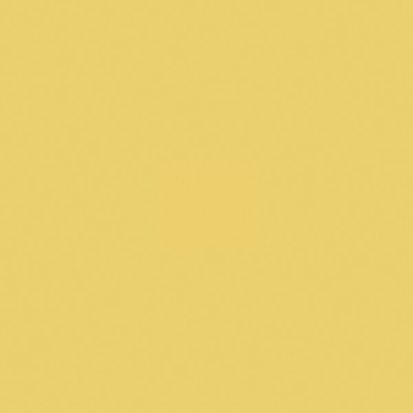 Όλες οι Φορμάικες Compact HPL Formica F8857 COMPACT HPL FURNITURE FORMICA MIC