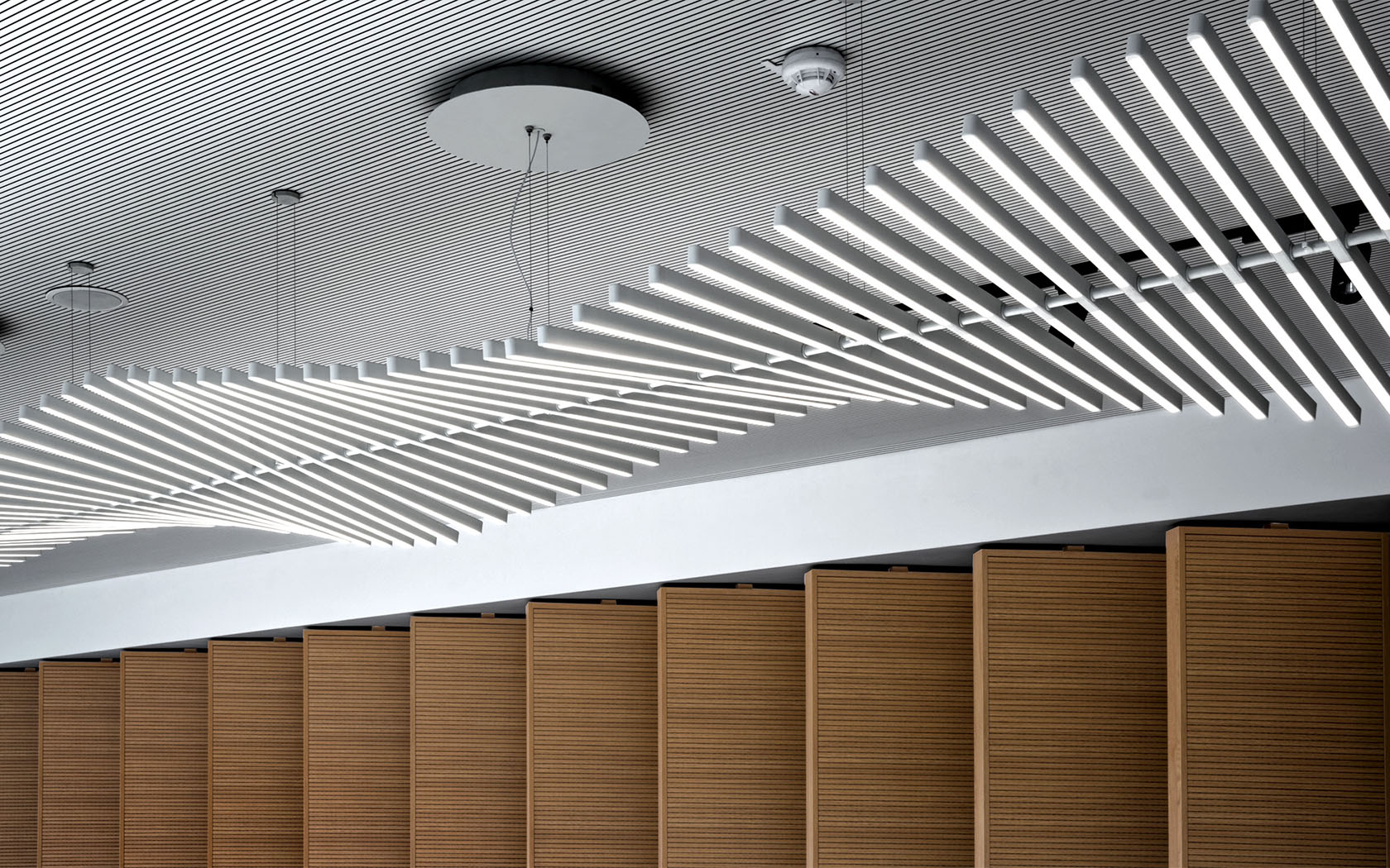 fantoni 7