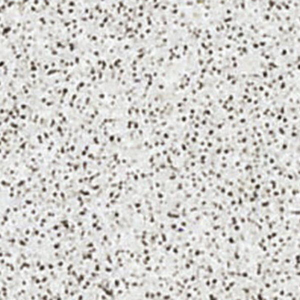 Όλα τα Διαχωριστικά WC F7507 ELCUBE HPL FULL HEIGHT FORMICA MATTE58 FullSheet
