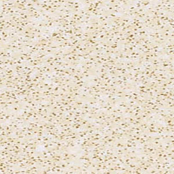 Όλα τα Διαχωριστικά WC F7517 ELCUBE HPL FULL HEIGHT FORMICA MATTE58 FullSheet