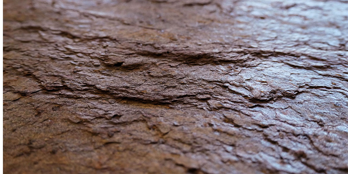 slate lite 1