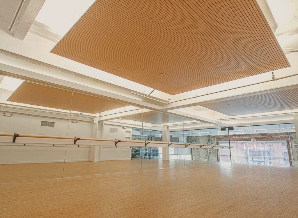 Acoustic System Fantoni Gym Room Special Edition Climacustic 13 3 b