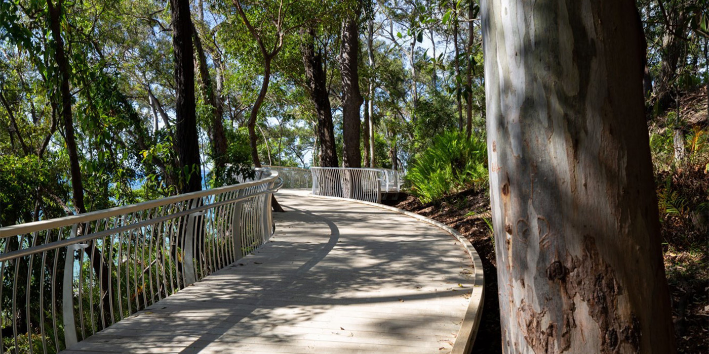 accoya 0001 Accoya boardwalk Noosa National Park Australia